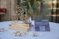 Erlebnis_Dolomitenmann_DolomitenBank-2026_5